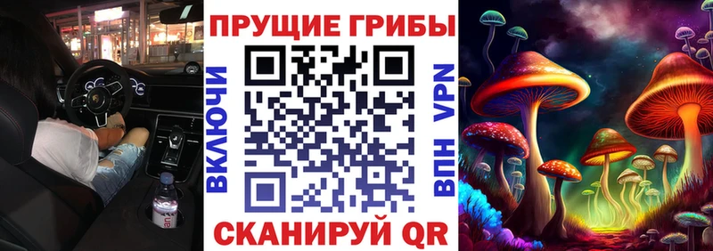 площадка Telegram  Шлиссельбург  Галлюциногенные грибы GOLDEN TEACHER  магазин   
