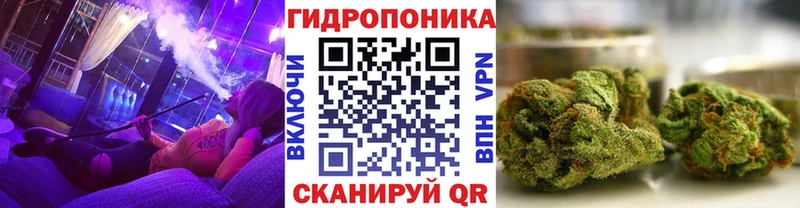 где купить наркоту  Шлиссельбург  Конопля SATIVA & INDICA 